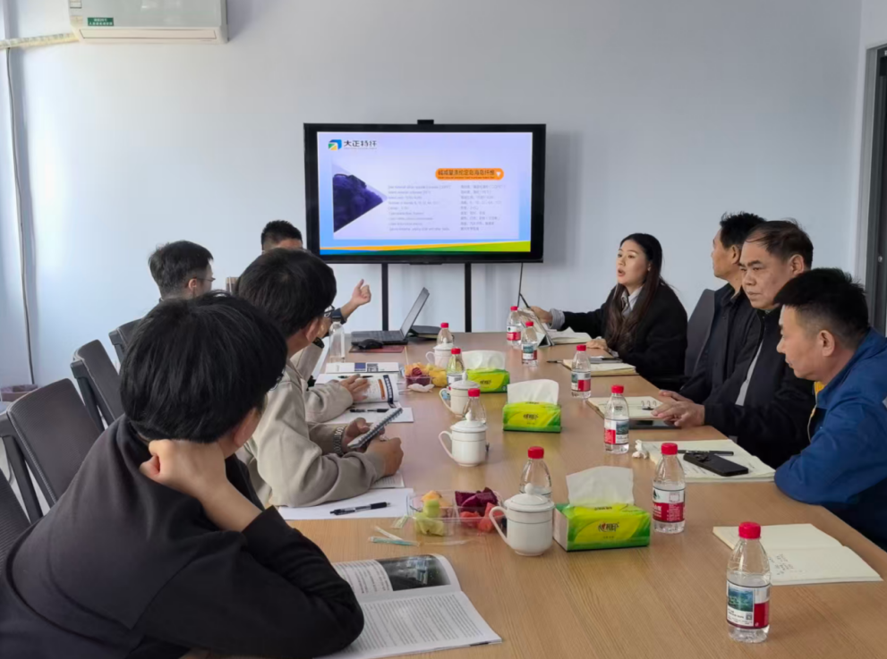  欧洲客户来公司实地访谈