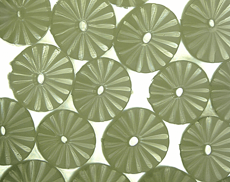 32瓣中空橘瓣纤维